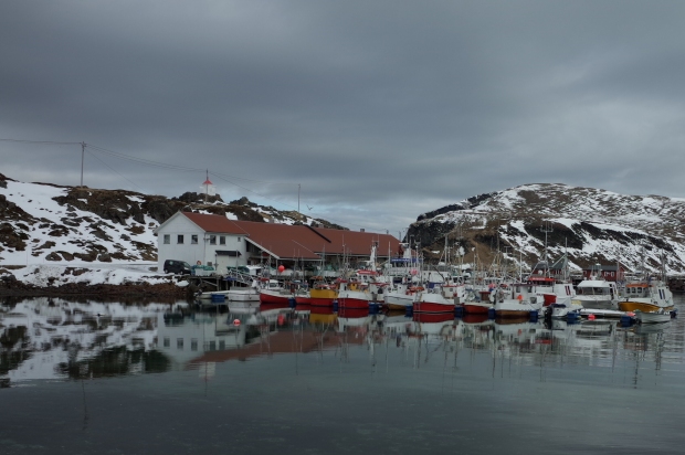Kamøyvær港口漁船